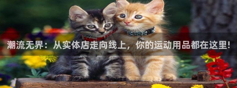 熊猫体育官网下载平台假的吗是真的吗吗：潮流无界：从实体店走向