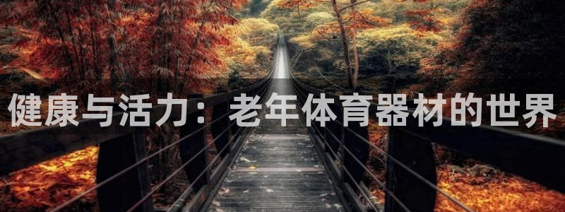 海南熊猫体育官网下载发展怎么样：健康与活力：老年体育器材的世