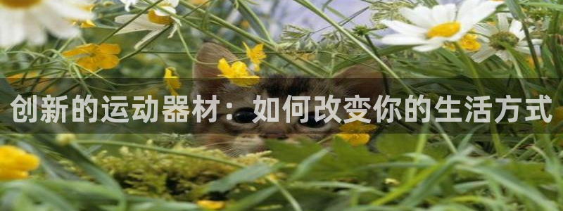 熊猫体育神州：创新的运动器材：如何改变你的生活方式