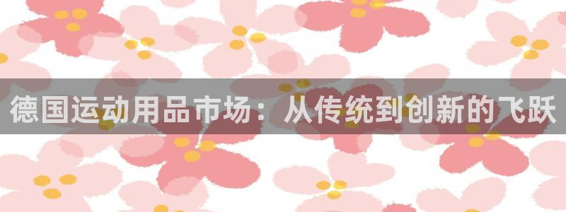 熊猫体育官网下载开户：德国运动用品市场：从传统到创新的飞跃